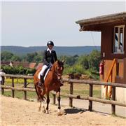 Cours théoriques équitation hippologie (débutant à G7)